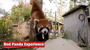 19K views · 944 reactions | The Columbus Zoo and Aquarium offers a...