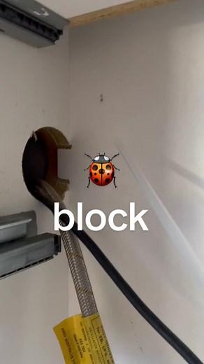 Effective Methods to Prevent Bugs in Kitchen Cabinets