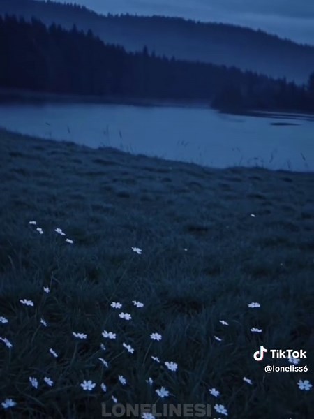 Что значит 141: Обзор и значение числа 141