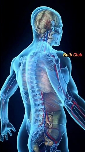 Why we feel shivering when cold? #shorts #cold #education #science #humanbody #facts