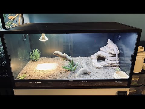 DubiaRoaches.com 4x2x2 120 Gallon Reptile Enclosure Assembly