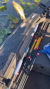 Shellcracker Slam!!! #shellcracker #fishing | Branden Scott