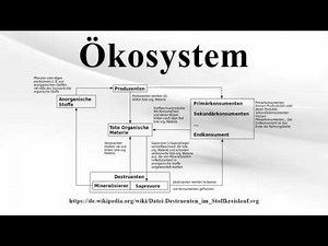 Ökosystem
