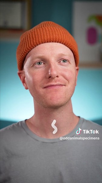 How Tapeworms Live in Our Stomachs: A Science Exploration