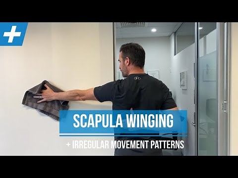 Exercises for Scapula Winging and Irregular Shoulder Movement - Pt. 1 | Tim Keeley | Physio REHAB