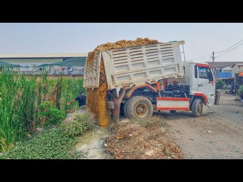 Best Action Technique Land Filling use KOMATUS bulldozer D53P Push rock soil With Team NISSAN truck