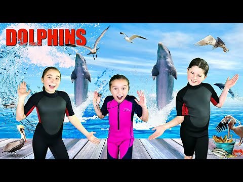 Dolphins for Kids | All About Dolphins | Bottlenose Dolphins
