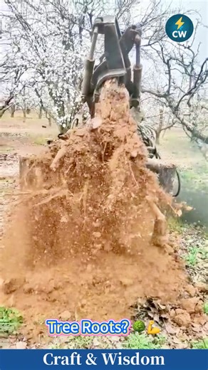 Tree Roots? No Problem! This Powerful Machine Pulls Them Out Effortlessly ｜強力な掘り起こし機の驚きのパワー🌳💪