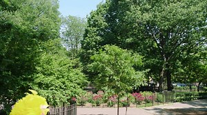 2.3M views · 151 shares | Sesame Street characters are transported to...