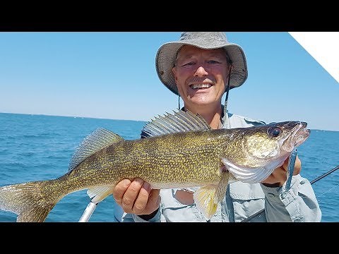 How to catch walleye while jigging