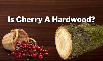 Is Cherry a Hardwood or Softwood? [2026 Ultimate Guide!]