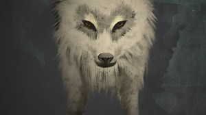 3.1K views · 323 reactions | NEW VIDEO! Watch TEETH AGAPE animated by David Seitz. Never underestimate the power of the mothers. We will protect our young at all costs. Claws sharpened, teeth agape. https://bit.ly/3G5sEsj | Tanya Tagaq | Facebook