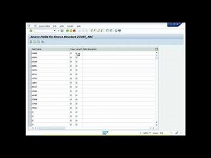 Mastering SAP LSMW A Comprehensive Guide for Data Migration 2