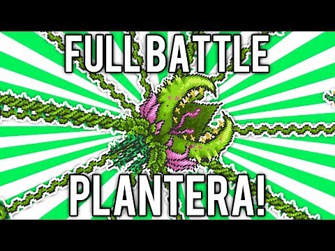 Terraria 1.2: How to Defeat Plantera! (Full Battle Solo) [demize]