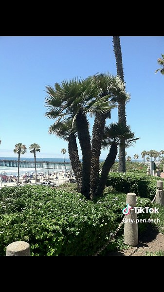 iPhone 4 vs iPhone 4s Camera Comparison