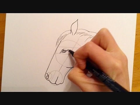 Beginners Lesson - How To Draw A Horse