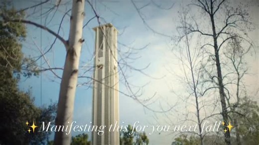 36K views · 216 reactions | You did it! Congratulations on submitting your UC Application  We’re just the social team, so we don’t have any power over who gets accepted  But we’re manifesting good luck into the universe for your bright futures at the UC campus of your dreams 﫶 | University of California | Facebook