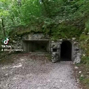 22K views · 548 reactions | Prochainement dans Bunker Memory  | Bunker Memory | Facebook