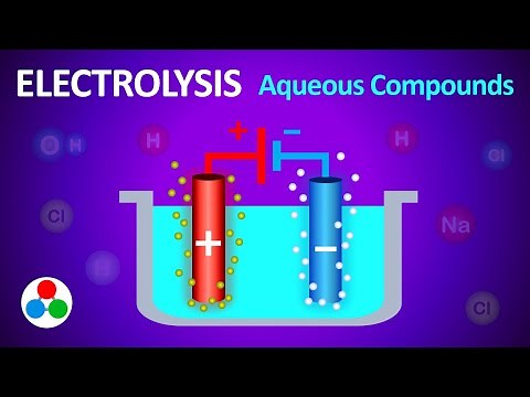 Electrolysis of Salt Water Explained - Aqueous Compounds | GCSE Chemistry