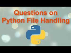 Handle any Python Text File Programs