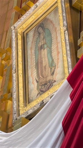 Incredible Pilgrimage to Our Lady of Guadalupe