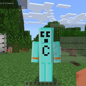 Realms Plusで友達と一緒に、以下を手に入れよう！  プライベートサーバー ✨ マーケットプレイスパスコンテンツ  キャラクタークリエイターアイテム  その他もろもろ！ | Minecraft | Facebook