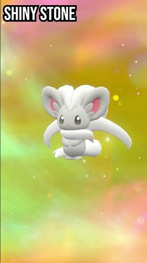 Minccino | Cinccino | Evolution Pokemon in Scarlet & Violet #pokemon #evolution #shorts