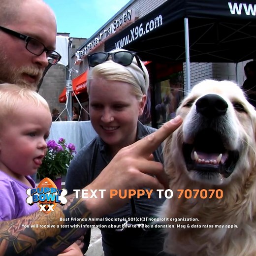 11K views · 365 reactions | In celebration of #PuppyBowl XX, Warner Bros. Discovery is partnering with Best Friends Animal Society to help animals find their loving homes! Don't miss the big game THIS Sunday at 2p ET/11a PT on Animal Planet. | Animal Planet | Facebook