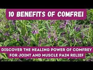 DISCOVER THE TOP 10 BENEFITS OF COMFREY FOR NATURAL HEALING AND WELLNESS