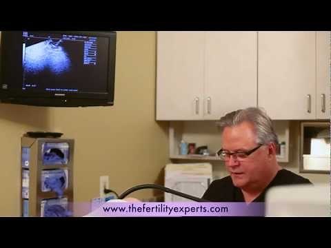 Saline Sonogram Procedure