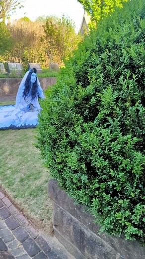 89K views · 784 reactions | Happy Halfway to Halloween! Here's some photos of my Corpse Bride costume from my photoshoot with @sweetsensationphotography #halfwaytohalloween #thecorpsebride #timburton | The Casey Renee | Facebook