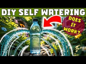 I tested this Simple, Free, DIY SELF WATERING container system for plants but did it work?