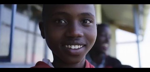 The magnificent lion: the symbol of Africa