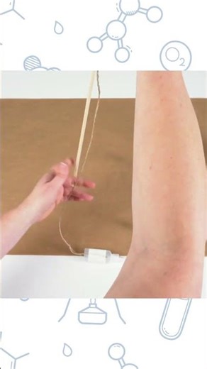 SCIENCE ART AND CRAFT ACTIVITY FOR TEACHERS AUSTRALIA || SCIENCE WEEK || ZART ART