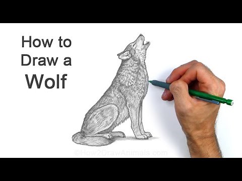 How to Draw a Wolf Howling