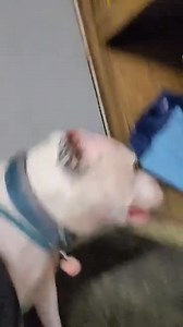 16K views · 3K reactions | Every day we will be highlighting one of...