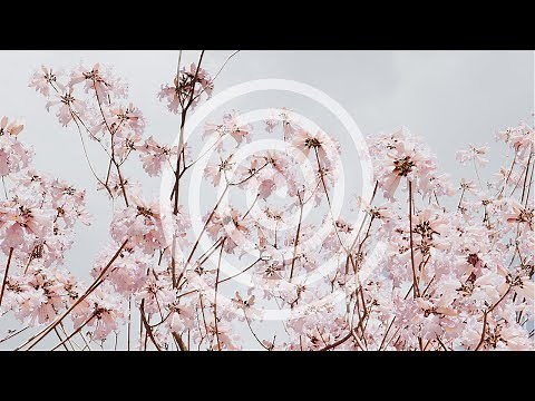 Concentration Music That Will Help With Your Homework!