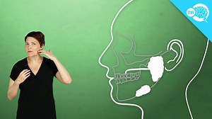 26K views | How Does Saliva Work? | Howstuffworks | Facebook