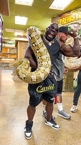 398K views · 6.3K reactions | Muscle Men lift 200lb Python! #zoo #reptiles #workout | Hyphy TV | Facebook