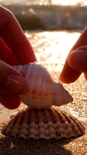 Ocean Shell Tapping 🐚✨ | Delicate Echo Echoes & Glimmering Wave ASMR for Deep Calm
