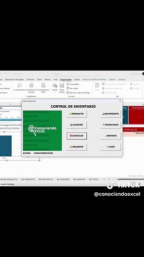 Inventario en Excel: Controles y Sistemas para una Gestión Eficiente