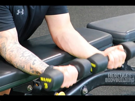 Arnold Schwarzenegger’s Intense Workout Regimen for 1974 Mr Olympia (Part-38) #arnoldschwarzenegger #bodybuilding #arnold #workout #exercise | Hercules Bodybuilding