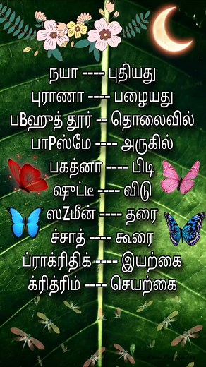 Learn Hindi easily through Tamil! This video covers basic vocabulary, phrases, and conversations related to Hindi learning. Subscribe for more language lessons! தமிழ் மூலம் ஹிந்தி எப்படி கற்கலாம்? ஹிந்தி தொடர்பான வாக்கியங்கள் மற்றும் உரையாடல்கள் இந்த வீடியோவில் கற்றுக்கொள்ளுங்கள்." #LearnLoanInHindi #HindiThroughTamil #LoanInHindi #LanguageLearning #TamilToHindi #EasyHindi #LoanVocabulary #HindiLanguage #TamilLanguage #LanguageTutorials #LearnHindi #LoanInHindiThroughTamil #HindiLessons #TamilLe