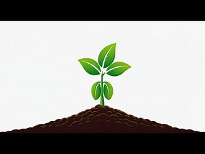 SIGNIFICANCE OF VEGETATION