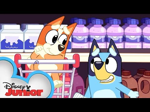Bluey and Bingo Go Grocery Shopping 🛒 | Bluey | ‪@disneyjr‬