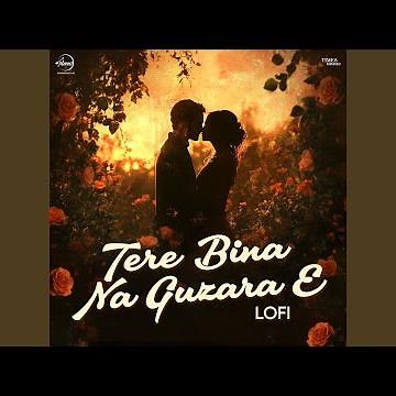 Tere Bina Na Guzara E (LoFi)