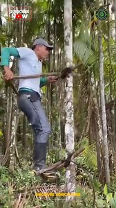 80K views · 695 reactions | Introducing our latest DIY project: a...