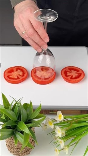 TOMATO AND EGG BREAKFAST THAT'S ACTUALLY EASY!