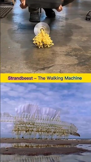 Strandbeest – The Walking Machine That Comes Alive with Wind | Theo Jansen’s Kinetic Art #theojansen