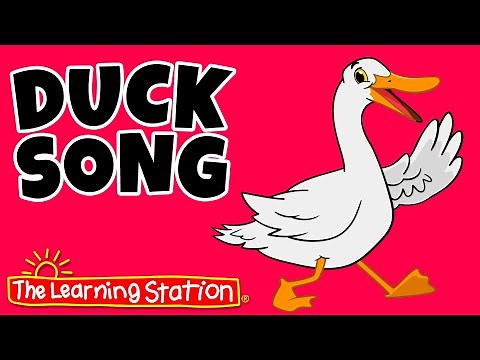 Duck Song ♫ Duck Test ♫ If It Walks Like a Duck ♫ Kids Songs by The Learning Station